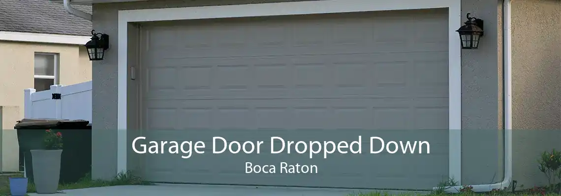 Garage Door Dropped Down Boca Raton