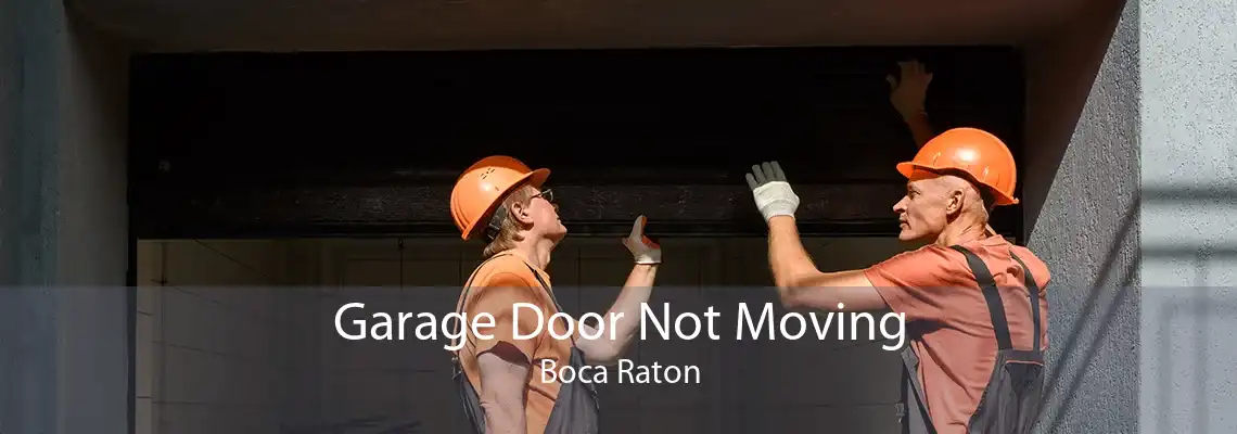 Garage Door Not Moving Boca Raton