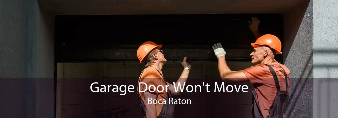 Garage Door Won't Move Boca Raton