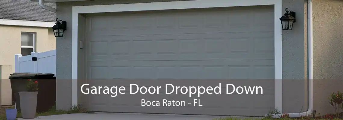 Garage Door Dropped Down Boca Raton - FL