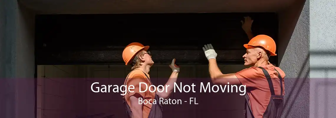 Garage Door Not Moving Boca Raton - FL