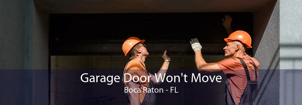 Garage Door Won't Move Boca Raton - FL